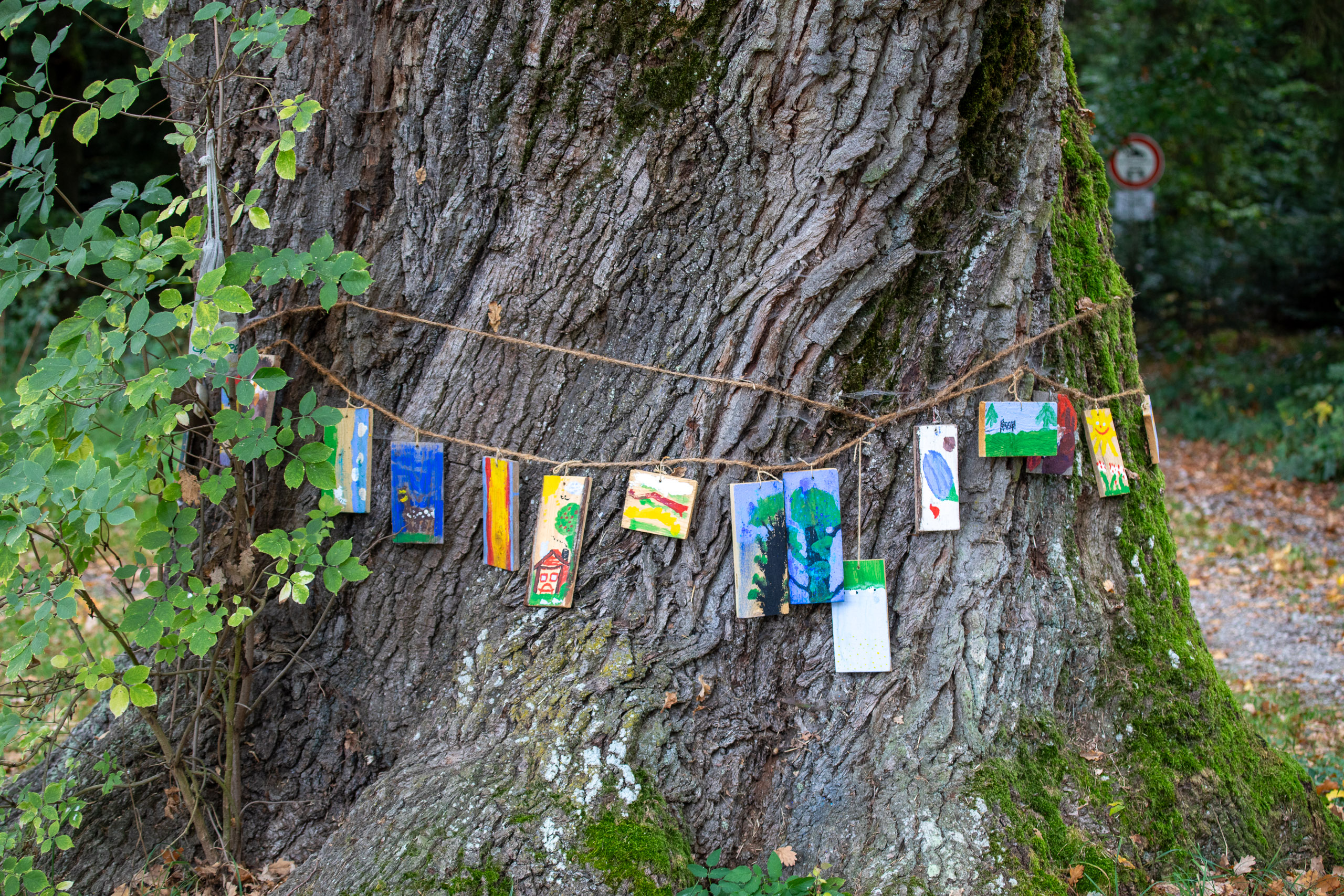 20231015104120 RD4 4749